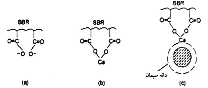 (a) یونیزه شدن گروه هیدروکسیل؛ (b) اندرکنش با یون های کلسیم در محلول؛ (c) چسبیدن به یک دانه سیمان