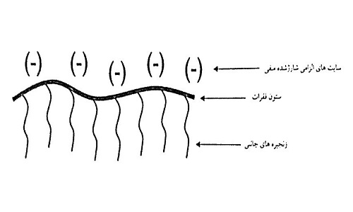 ساختار PCE پلیمر شانه عمومی