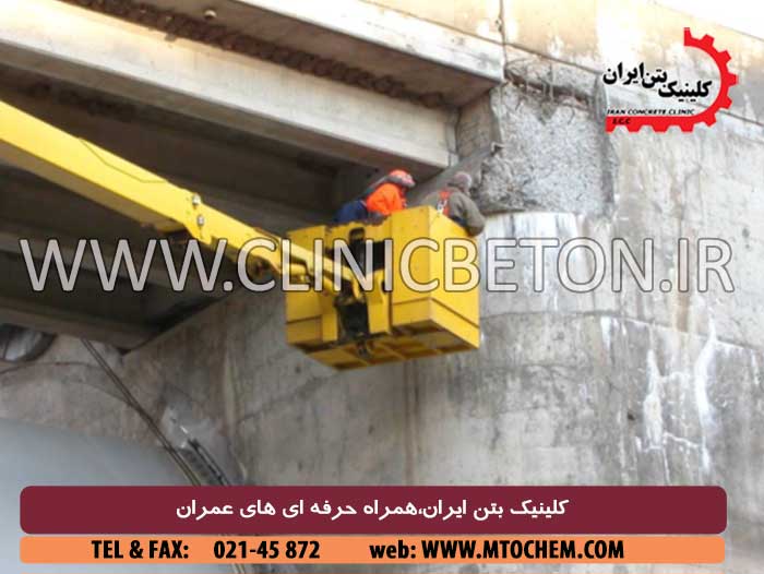 واکنشهای قلیایی سنگدانهها