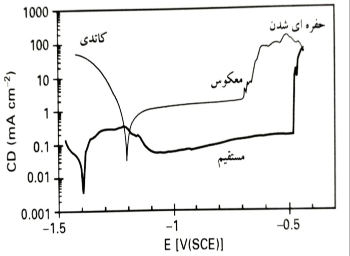 ghalyaei4