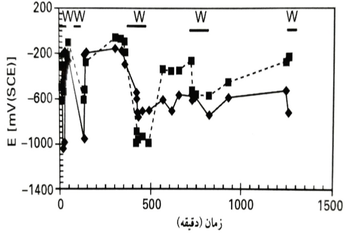 ghalyaei6