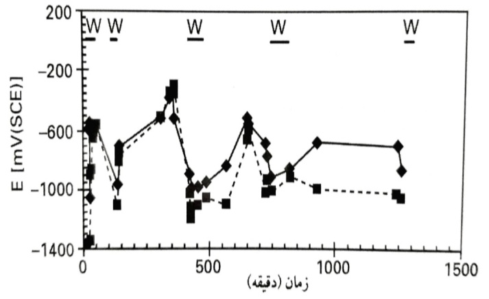 ghalyaei7